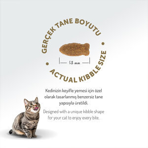 Felicia Tüm Irklara Özel Somonlu HypoAllergenic Kedi Maması 2 KG - 7