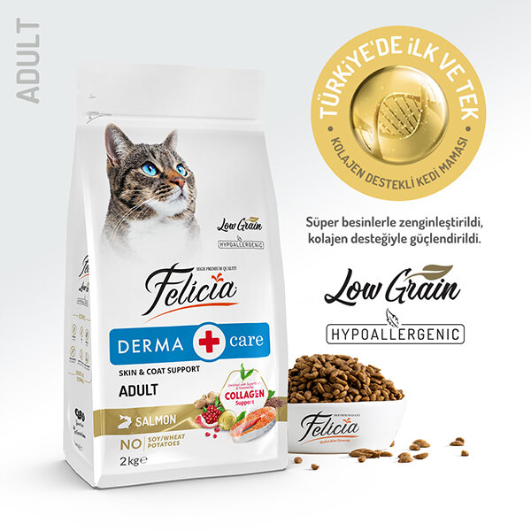 Felicia Tüm Irklara Özel Somonlu HypoAllergenic Kedi Maması 2 KG - 1