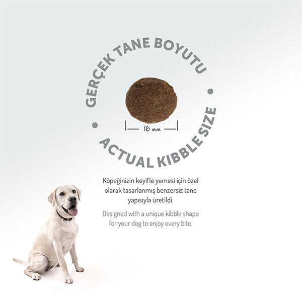 Felicia Tüm Irklara Özel Somonlu Köpek Maması 15 KG - 7