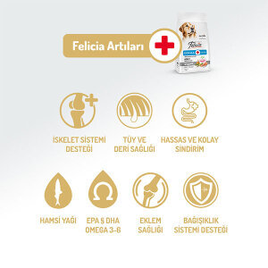 Felicia Tüm Irklara Özel Somonlu Köpek Maması 15 KG - 2