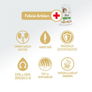 Felicia Tüm Irklara Özel Tavuklu Kedi Maması 12 KG - 2