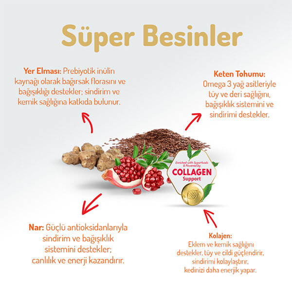 Felicia Tüm Irklara Özel Tavuklu Kedi Maması 12 KG - 3