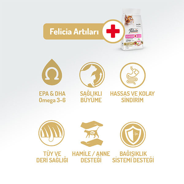 Felicia Düşük Tahıllı HypoAllergenic Tavuklu Yavru Kedi Maması 12 KG - 2