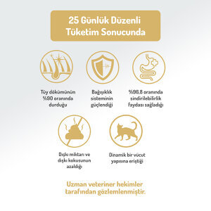 Felicia Düşük Tahıllı HypoAllergenic Yavru Kedi Maması 2 KG - 5