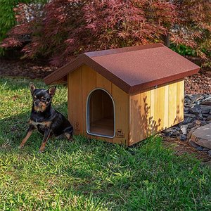 Ferplast Domus Canile Small Ahşap Köpek Kulübesi – 60,5×73,5×54,5 cm İç Ölçüler - Küçük / Orta Irklar - 6