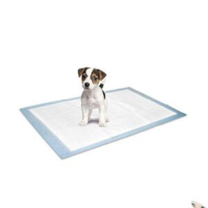 Flamingo Yavru Köpek Tuvalet Eğitim Pedi S 10 Adet 45x35 cm - 2