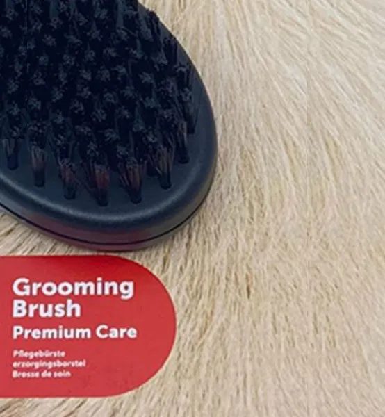 Flamingo Yumuşak Köpek Fırçası - 3