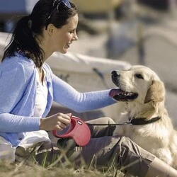 Flexi New Classic İp Otomatik Köpek Tasması 5M - S - 5