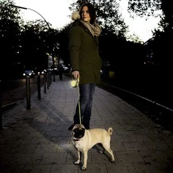 Flexi New Neon Sarı Otomatik Şerit Gezdirme Tasması 5 Metre - 10