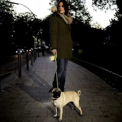 Flexi Neon Otomatik Şerit Köpek Tasması 25 KG - 5M Medium Turuncu - 3