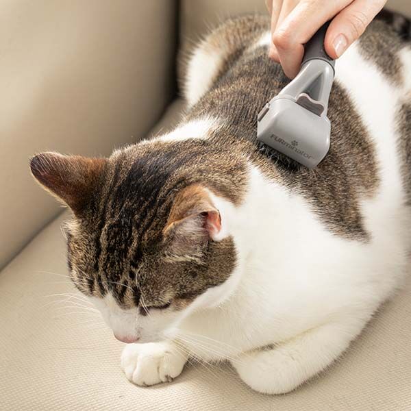 Furminator Ayarlanabilir Kıtık Açıcı Kedi Ve Köpek Tarağı - 4