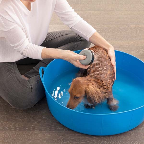 Furminator Kedi Ve Köpek Banyo Fırçası Şampuan Hazneli - 7