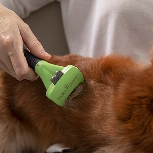 Furminator Kısa Tüylü Orta Irk Köpek Tüy Alma Tarağı M - 4