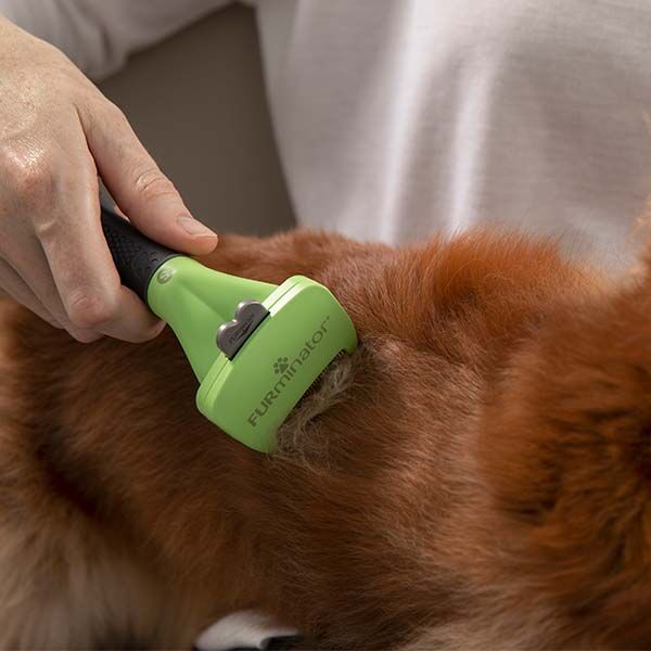 Furminator Kısa Tüylü Orta Irk Köpek Tüy Alma Tarağı M - 4