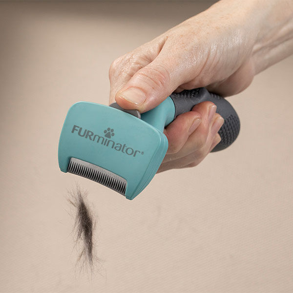 Furminator Kısa Tüylü Küçük Irk Kedi Tüy Alma Tarağı S - 4