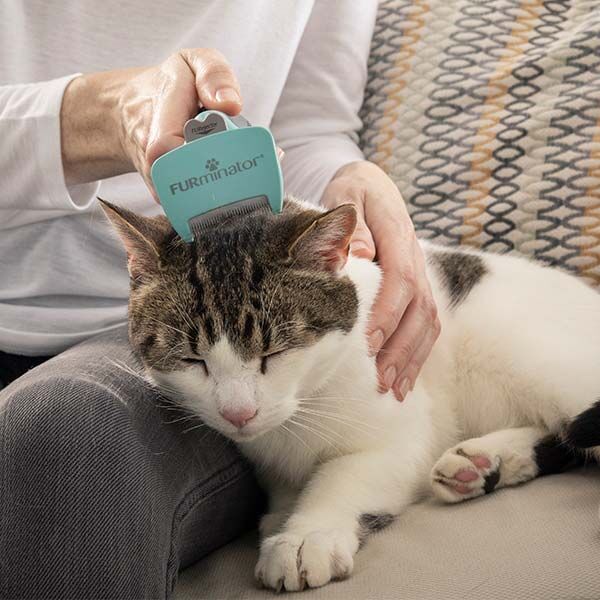 Furminator Kısa Tüylü Küçük Irk Kedi Tüy Alma Tarağı S - 7