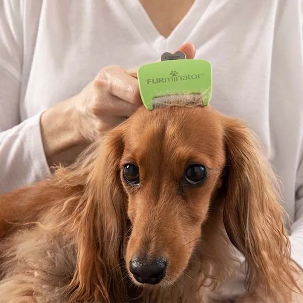 Furminator Long Hair Uzun Tüylü Köpek Tarağı Small - 10