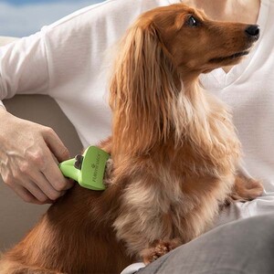 Furminator Long Hair Uzun Tüylü Köpek Tarağı Small - 8