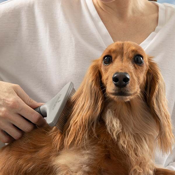 Furminator Rake Uzun ve Yoğun Tüylü Kedi ve Köpek Kıtık Açıcı Tarak 15 cm - 5
