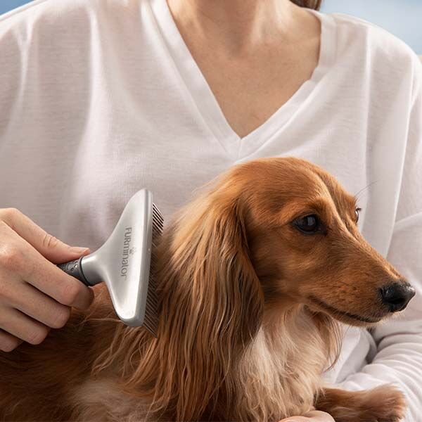 Furminator Rake Uzun ve Yoğun Tüylü Kedi ve Köpek Kıtık Açıcı Tarak 15 cm - 7