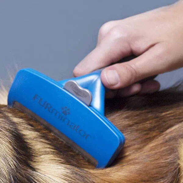 Furminatör Uzun Tüylü Köpekler İçin Tarak Large - 6