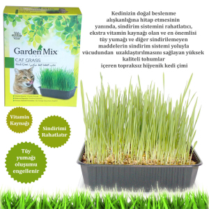 Gardenmix Kedi Çimi - 2