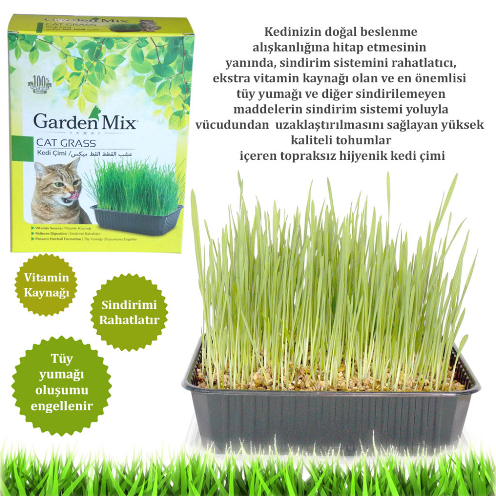 Gardenmix Kedi Çimi - 2