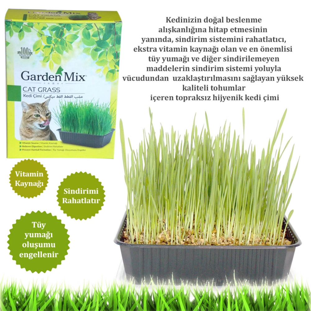 Gardenmix Kedi Çimi - 1