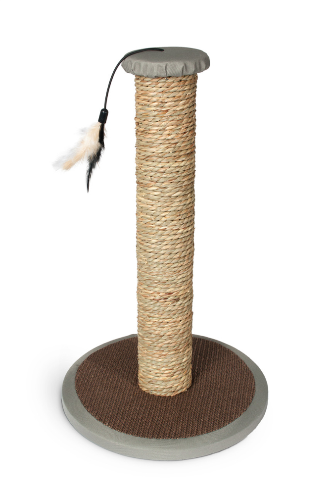 G&B Köpek Şampuanı Alerji Karşıtı 250 ml - 2