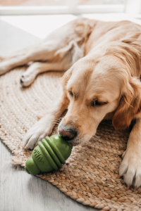 G&B Yavru Köpek Şampuanı 370 ml - 2