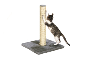 G&B Yorkshire Cinsi Köpek Şampuanı 370 ml - 2