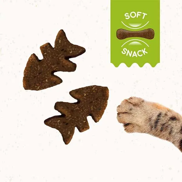 Gimcat Crunchy Snacks Somon ve Ahududulu Tahılsız Kedi Ödülü 50 gr - 2