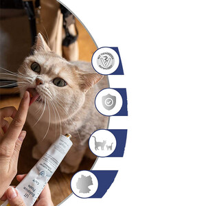GimCat UT Balance Üriner Sistem Destekleyici Kedi Macunu 50 g - 4