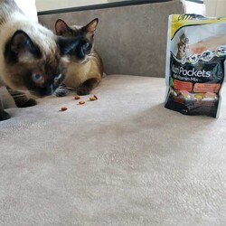 GimCat Nutripockets Malt&Multivitamin Kedi Ödülü 150 GR - 2