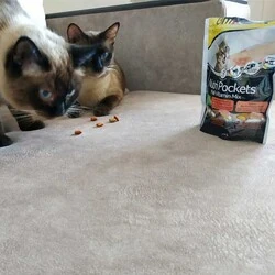 GimCat Nutripockets Malt&Multivitamin Kedi Ödülü 150 GR - 2