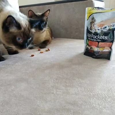 GimCat Nutripockets Malt&Multivitamin Kedi Ödülü 150 GR - 2