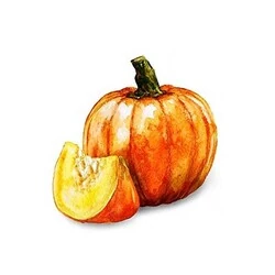 Gimdog Meat Bones Kabaklı ve Nori Yosunlu Tavuk Köpek Ödülü 70 gr - 3