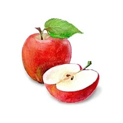 Gimdog Tavuklu ve Elmalı Köpek Ödülü 70 gr - 3