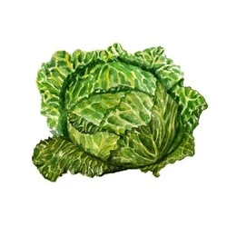 Gimdog Tavuklu ve Elmalı Köpek Ödülü 70 gr - 4