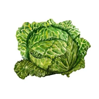 Gimdog Tavuklu ve Elmalı Köpek Ödülü 70 gr - 4