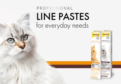 Gimcat Kediler İçin Multi-Vitamin Macunu 100 GR - 2