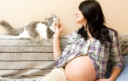 Hamilelikte Toksoplazma Enfeksiyonu-KEDİLER