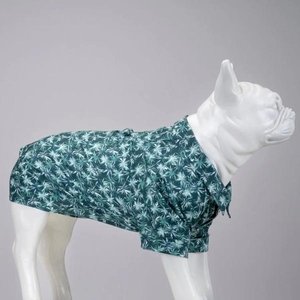 Havana Köpek Gömleği Beden : 4