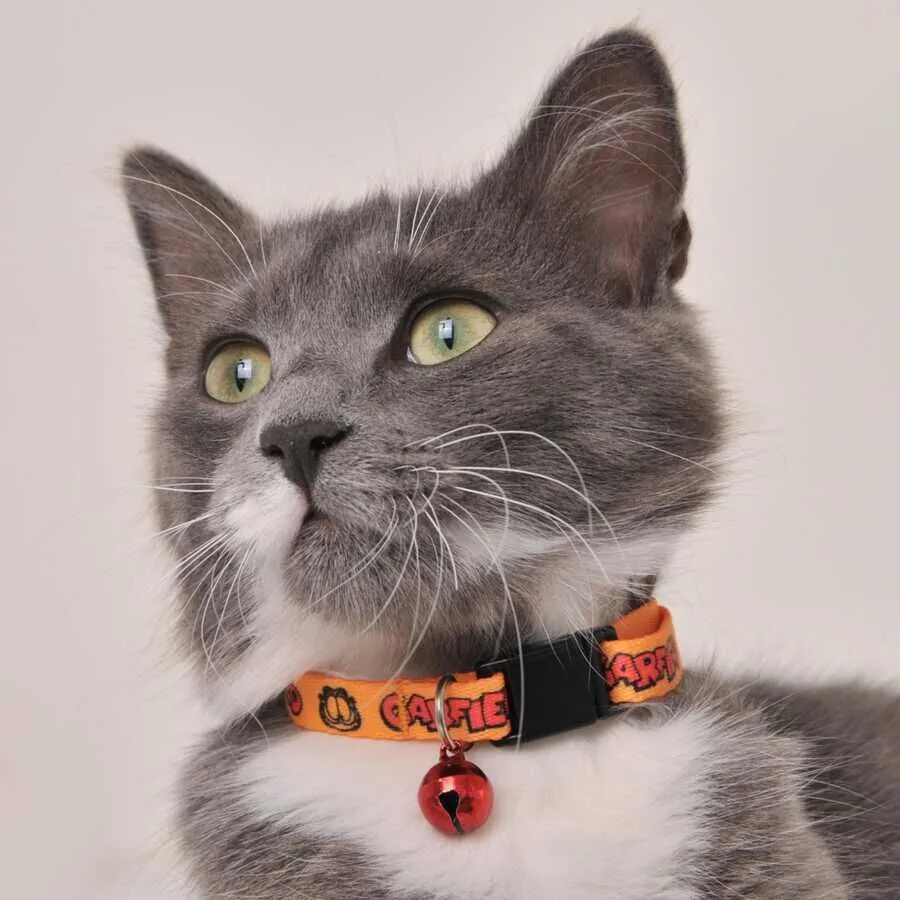 Garfield Graffiti Boyun Tasması 1 Cm Kırmızı Sarı - 4