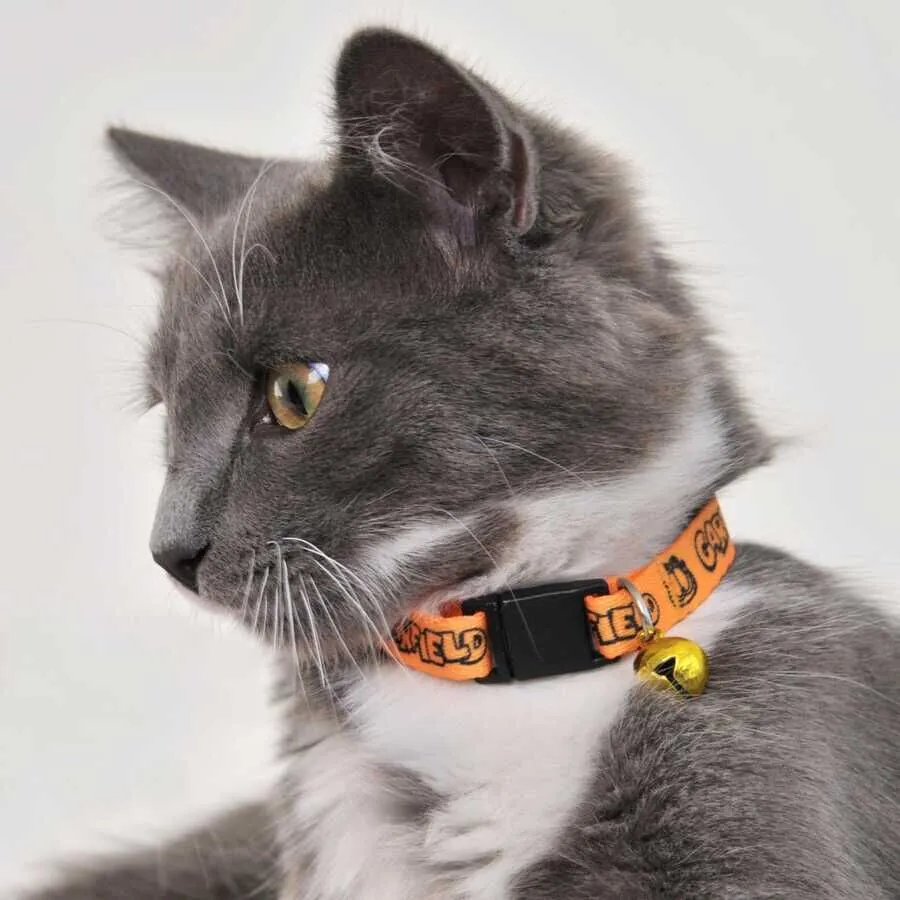 Garfield Graffiti Boyun Tasması 1 Cm Sarı - 4