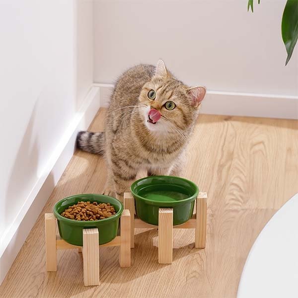 Herniks Ahşap Ayaklı Seramik Kedi Köpek İkili Mama ve Su Kabı 12x10cm - Yeşil - 2