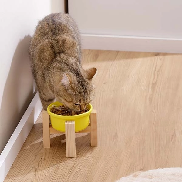 Herniks Ahşap Ayaklı Seramik Kedi Köpek Tekli Mama ve Su Kabı 12x10cm - Sarı - 2
