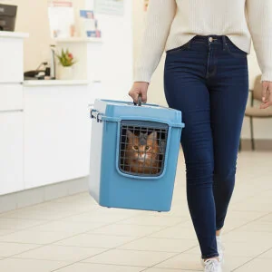 Herniks Handor Taşıma Çantası 57x39x43 - Mavi - 3