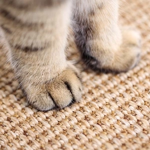 Herniks Kedi Otlu Doğal Ahşap Zemin Sisal Tırmalama Tahtası 31x29cm - 3