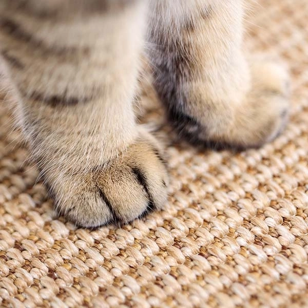 Herniks Kedi Otlu Doğal Ahşap Zemin Sisal Tırmalama Tahtası 31x29cm - 3